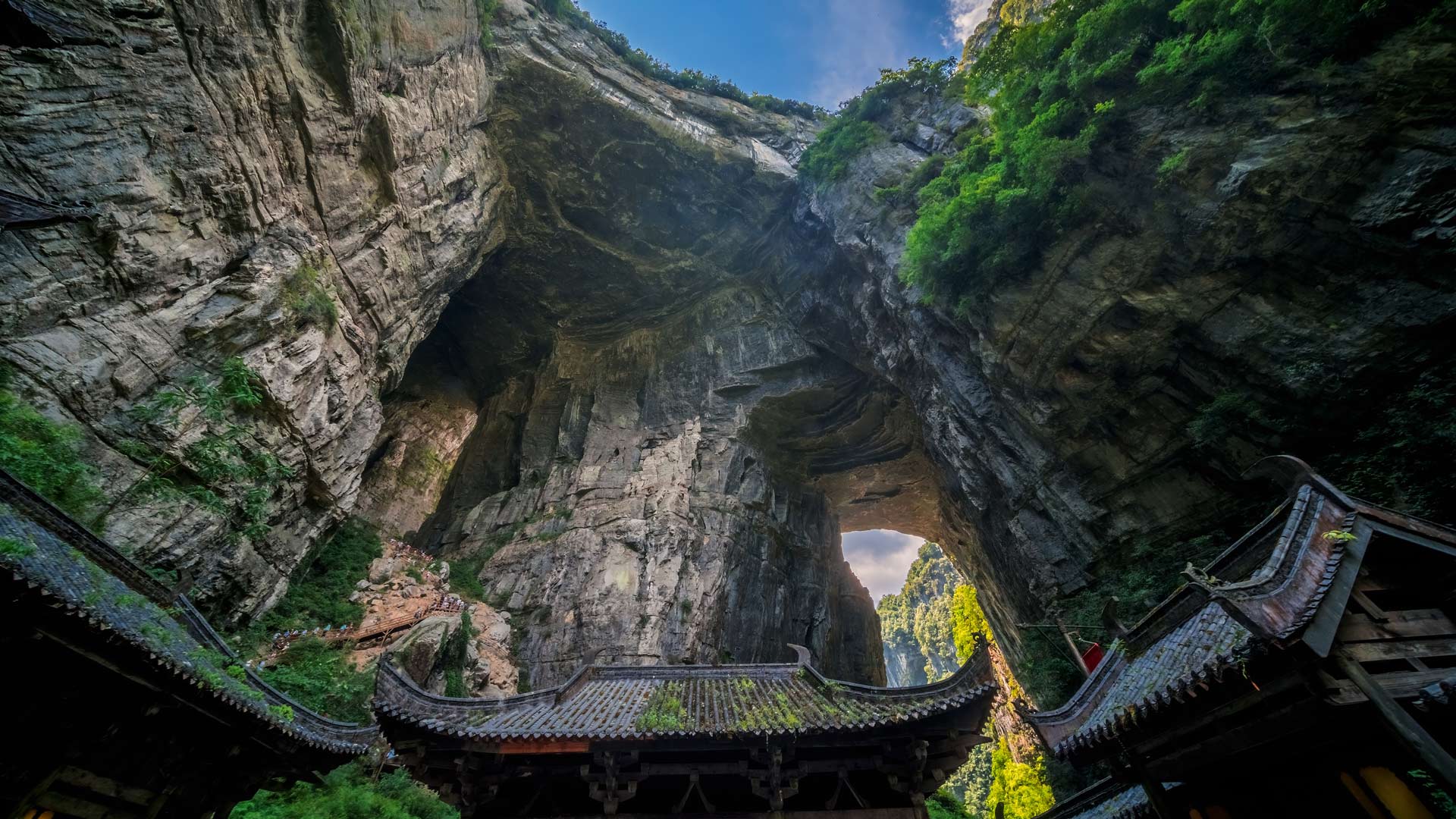 白酒这是完蛋了吧(合集转寄)