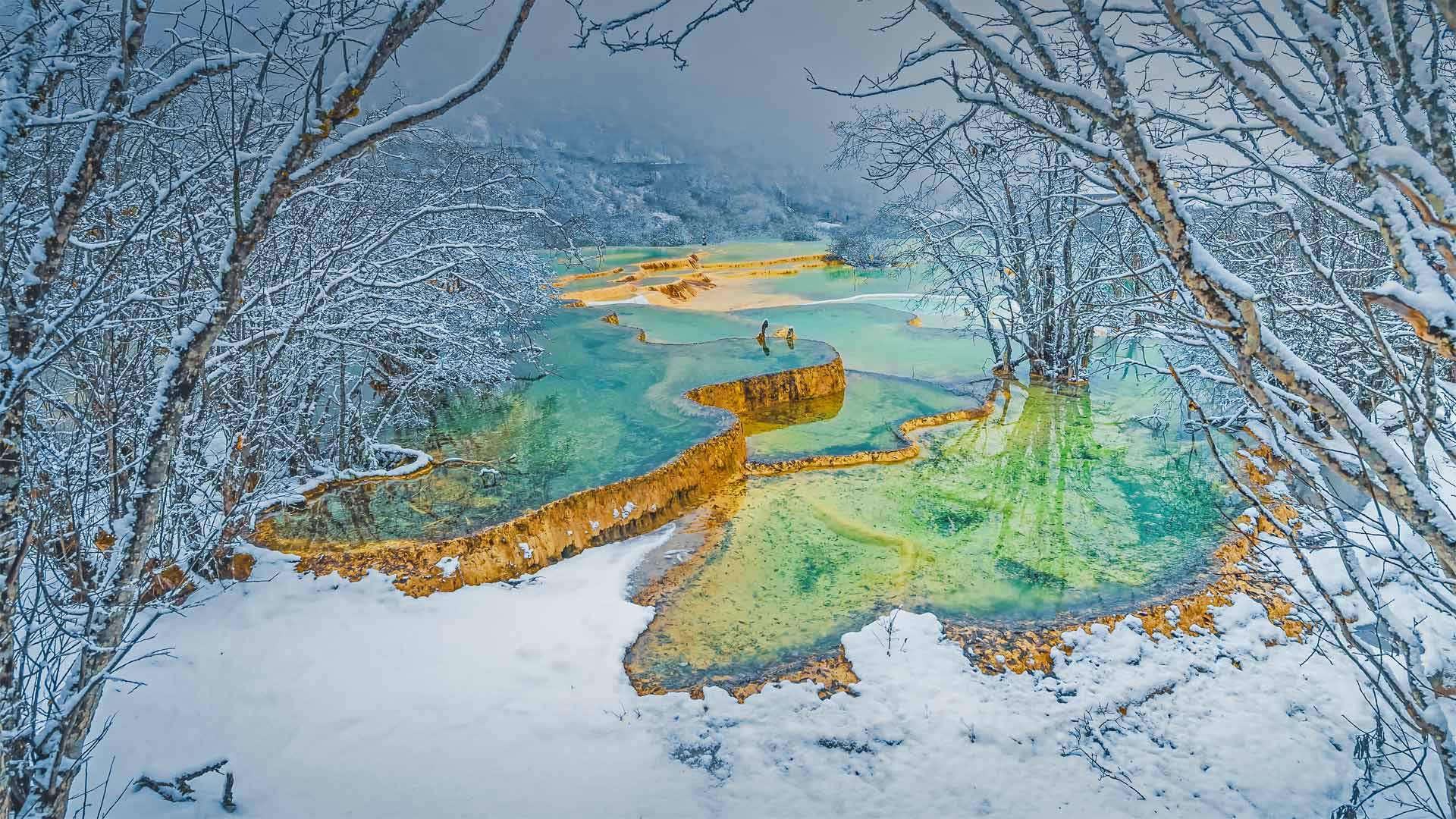 智能体又要切换回Qwen了(合集转寄)