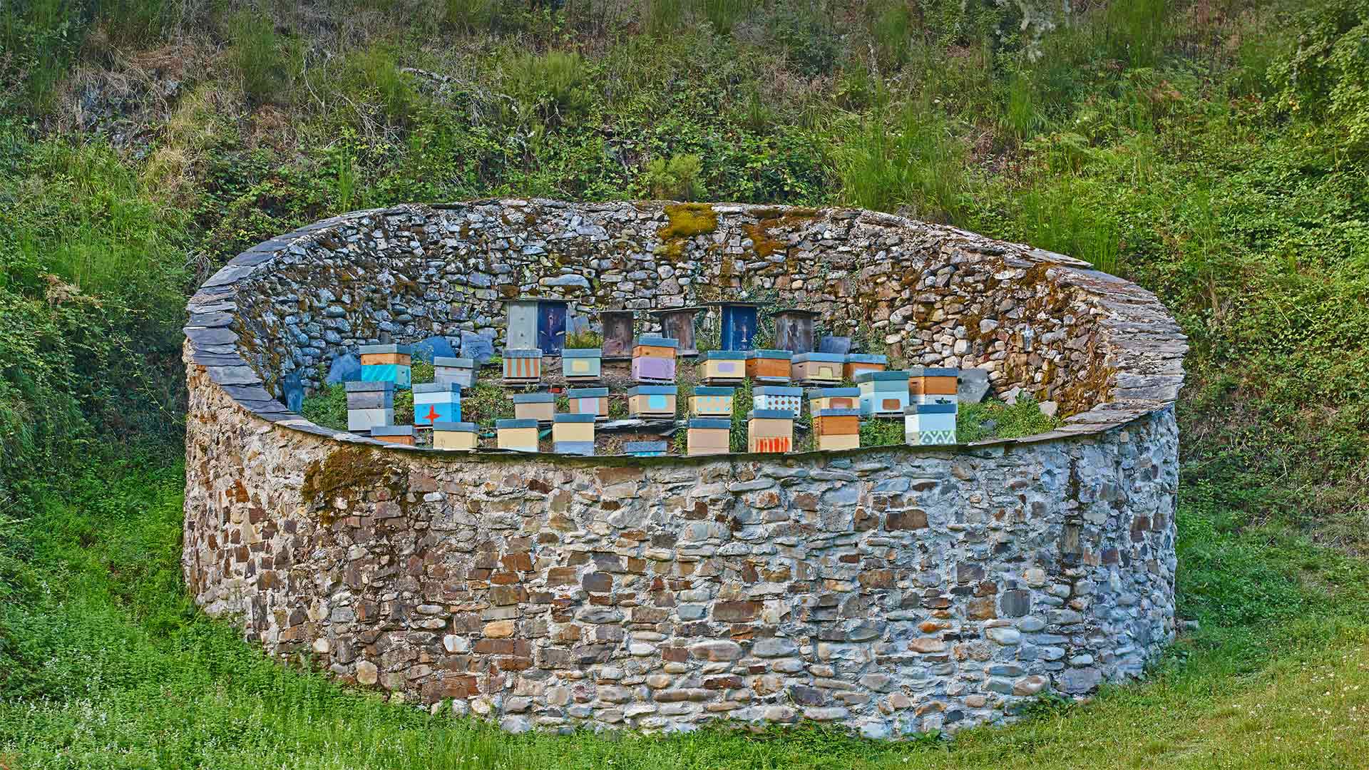 心在滴血-被铂林眼科害惨了(合集转寄)