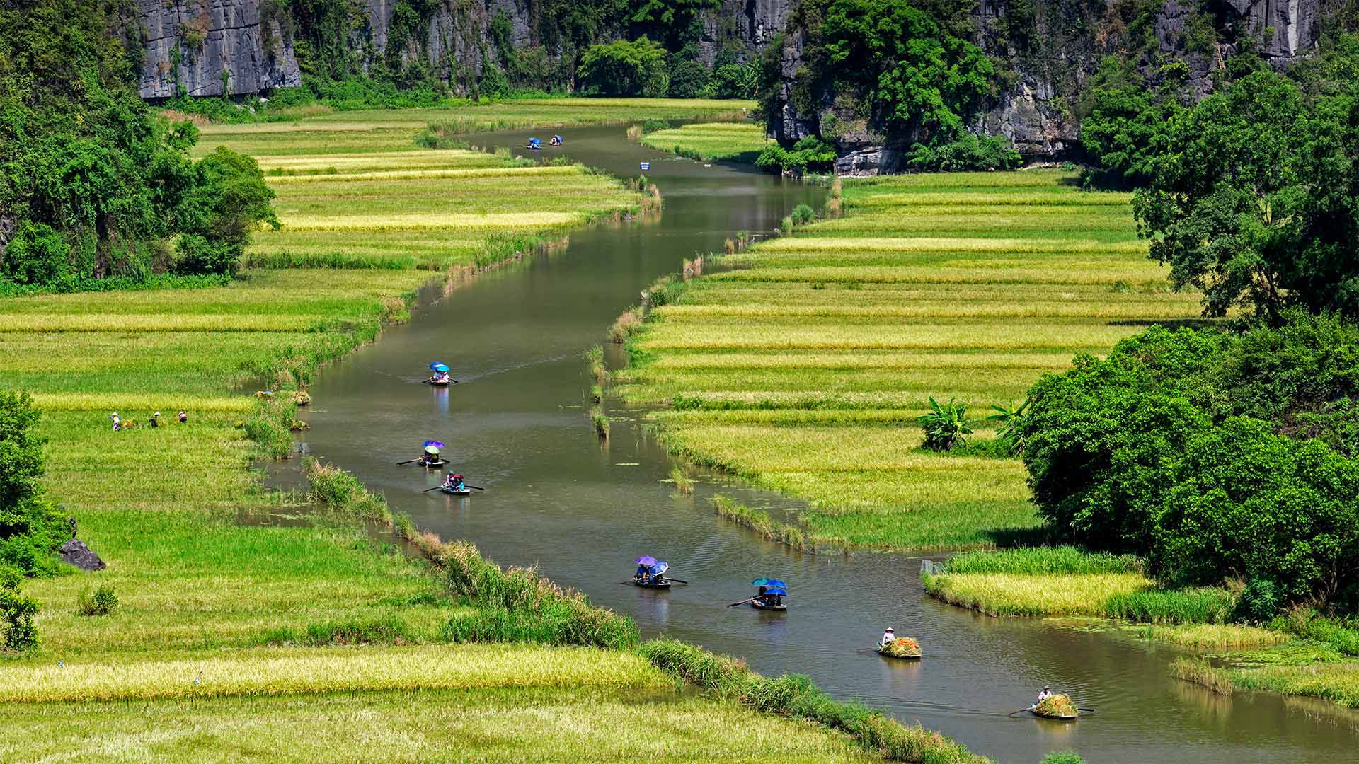 转发：张家口泡药白菜复现漳州泡药杨梅场景，发货量锐减(合集转寄)