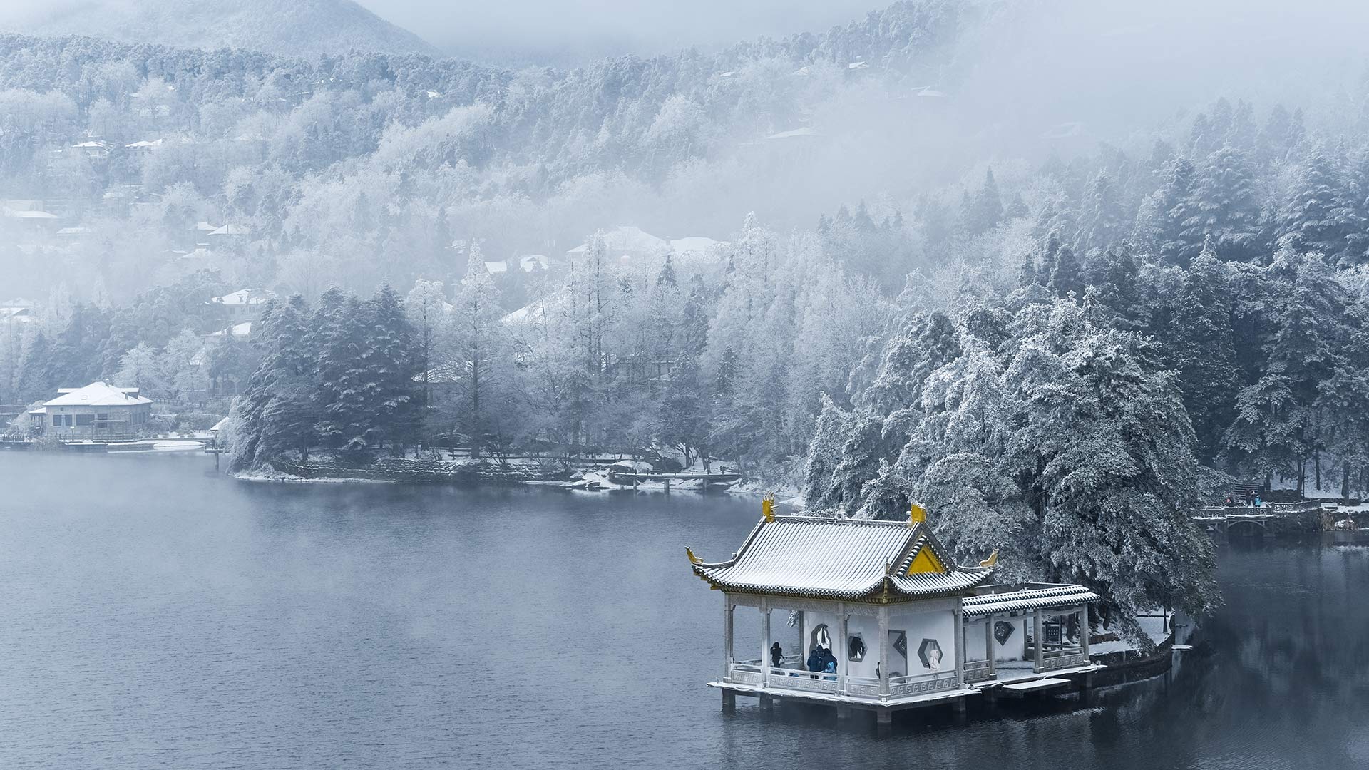 慕名看了父母爱情（合集转寄）